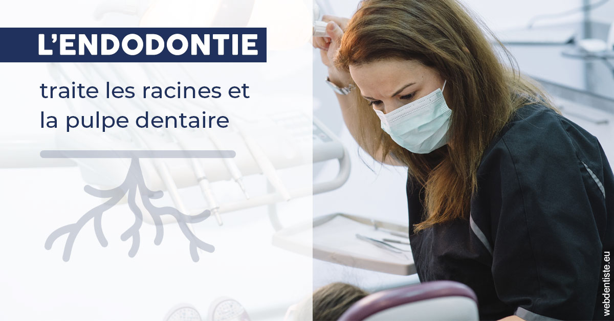 https://dr-kebir-quelin-myriam.chirurgiens-dentistes.fr/L'endodontie 1