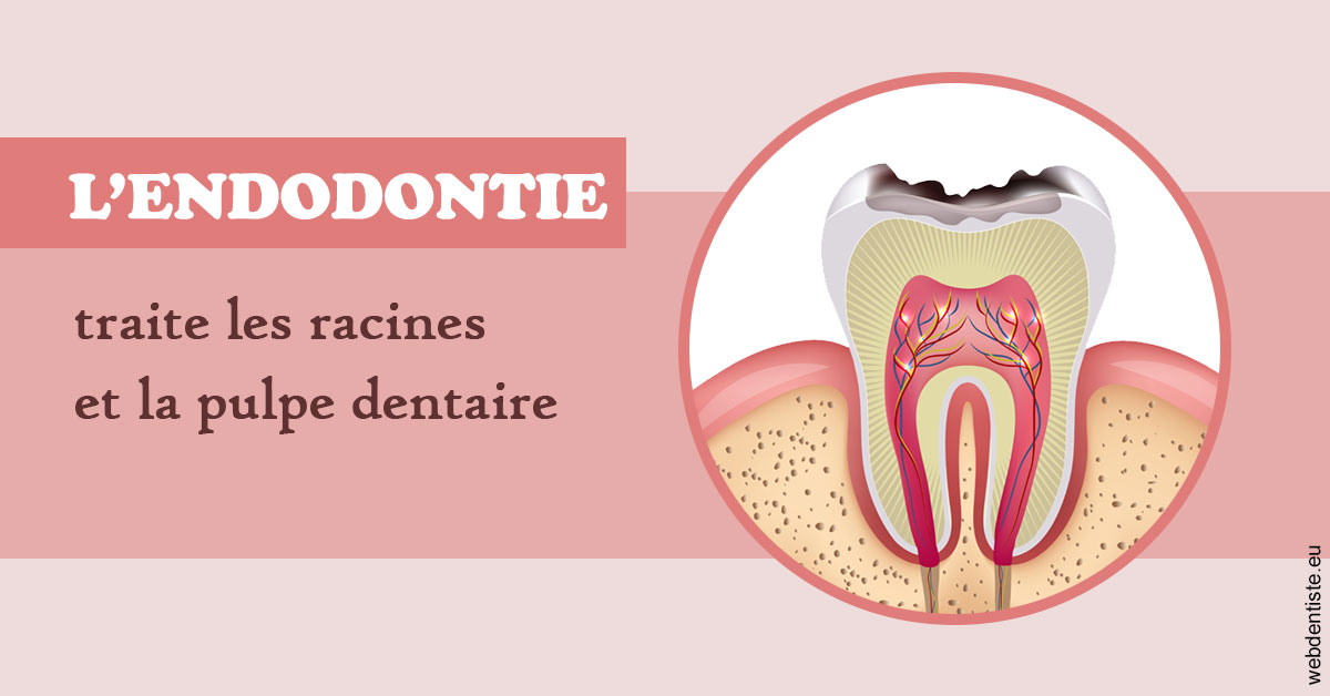 https://dr-kebir-quelin-myriam.chirurgiens-dentistes.fr/L'endodontie 2