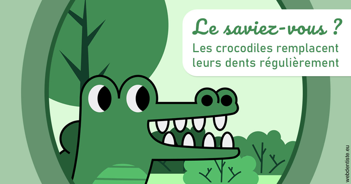 https://dr-kebir-quelin-myriam.chirurgiens-dentistes.fr/Crocodiles 2