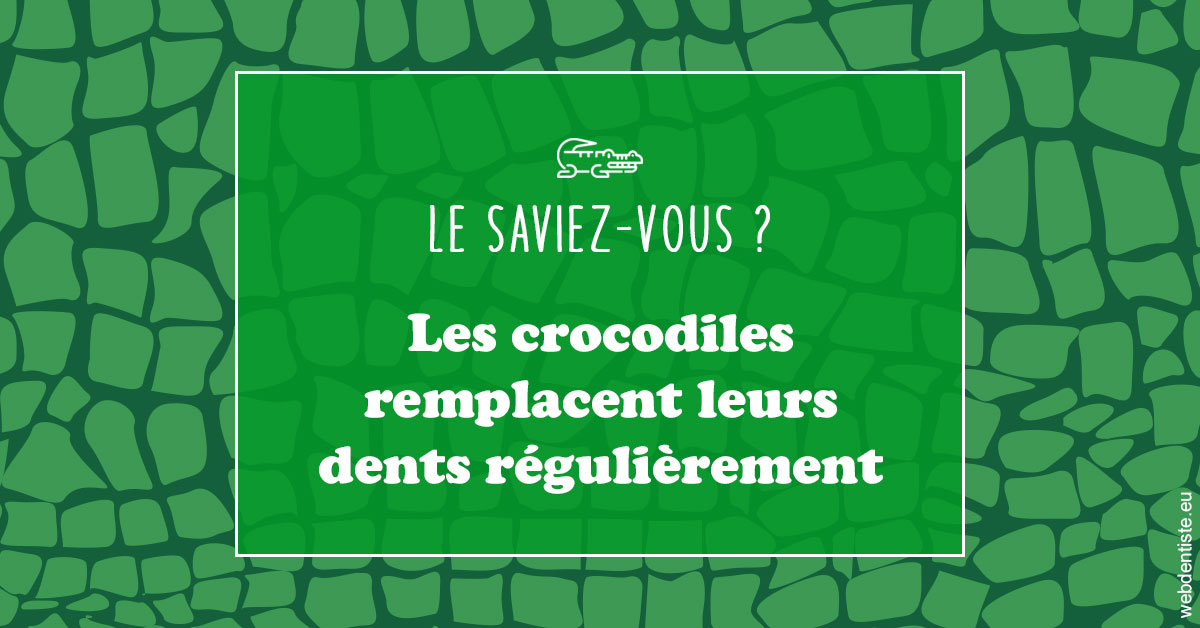 https://dr-kebir-quelin-myriam.chirurgiens-dentistes.fr/Crocodiles 1